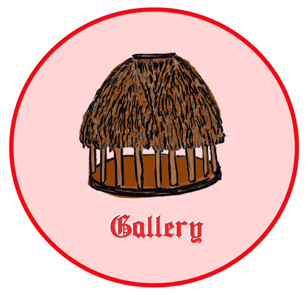 moana-gallery-new.png