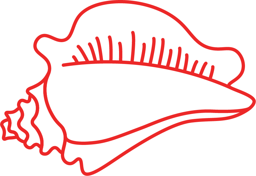 side-red-conch.png